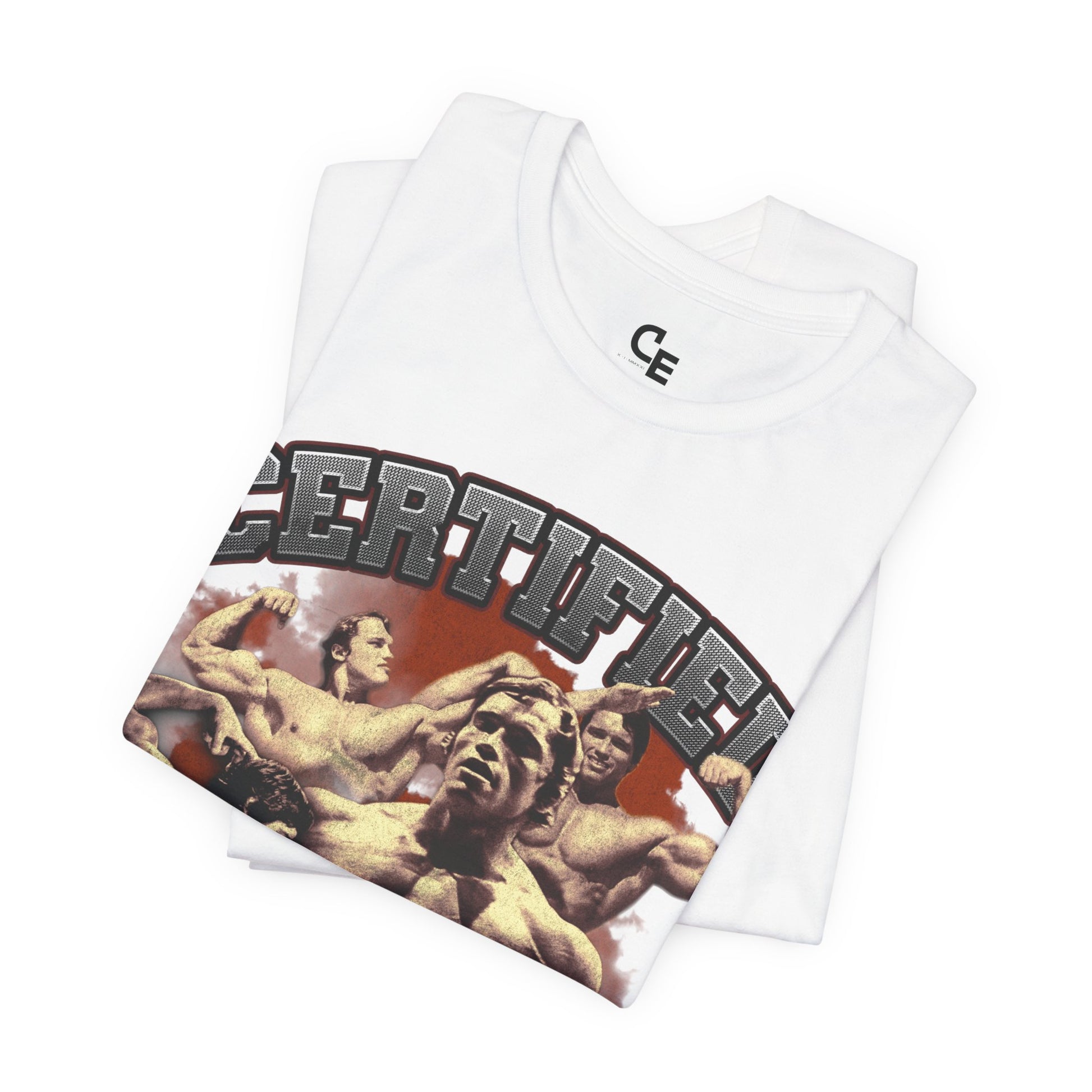 GYM KLEDING VOOR MANNEN Gym T-shirt Bodybuilding T-shirts Gym Kleding - BEBAK Workout Top Training Tops Arnold Schwarzenegger geïnspireerd ontwerp T-shirt MMA, Sport Grijs, S GYM KLEDING VOOR MANNEN Gym T-shirt Bodybuilding T-shirts Gym Kleding - BEBAK Workout Top Training Tops Arnold Schwarzenegger geïnspireerd ontwerp T-shirt MMA, Sport Grijs, S